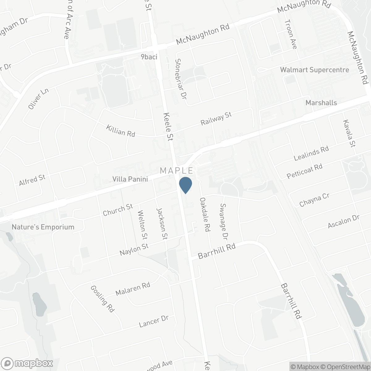 206 - 9973 KEELE STREET, Vaughan, Ontario L6A 3Y5